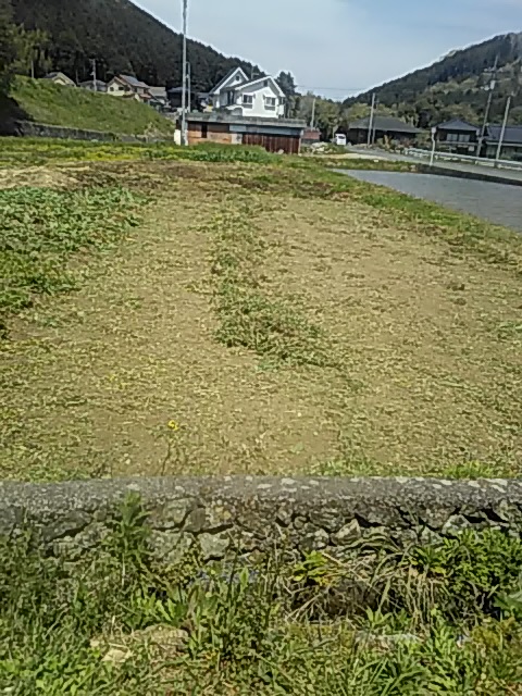 f:id:himitunokobeya:20200416172324j:plain