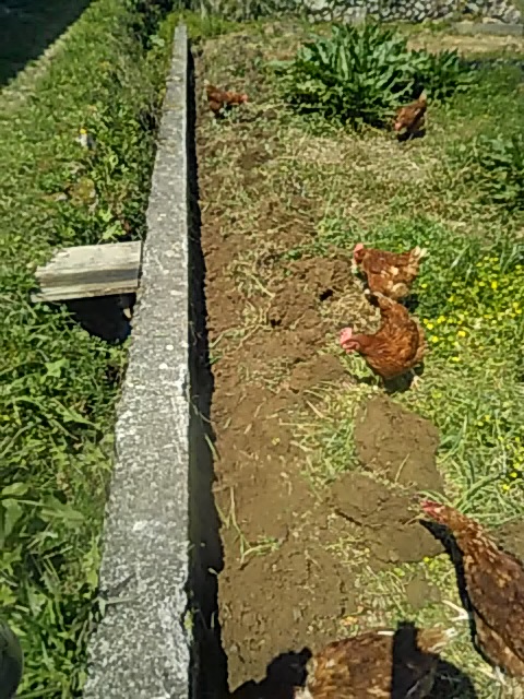 f:id:himitunokobeya:20200417170641j:plain