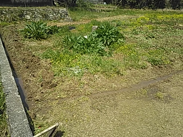 f:id:himitunokobeya:20200417171029j:plain