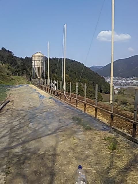 f:id:himitunokobeya:20200417171350j:plain