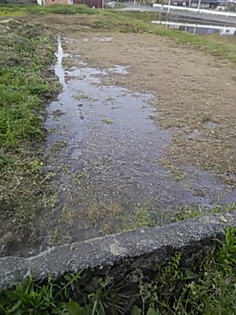 f:id:himitunokobeya:20200417172146j:plain