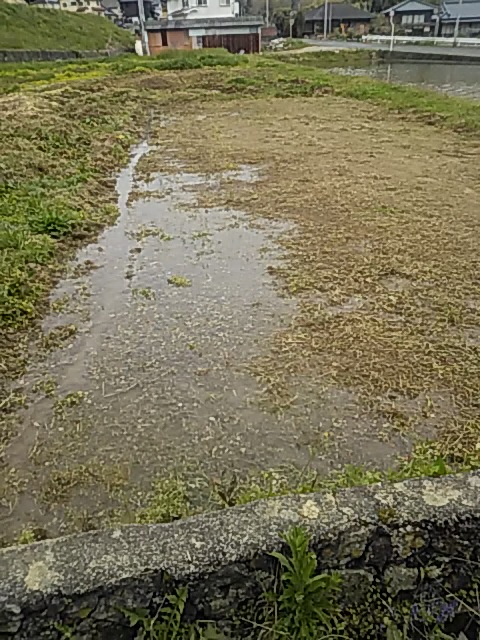f:id:himitunokobeya:20200418095755j:plain