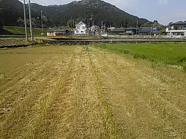 f:id:himitunokobeya:20200419084339j:plain