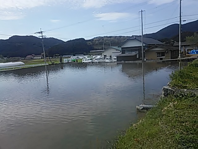 f:id:himitunokobeya:20200420093419j:plain