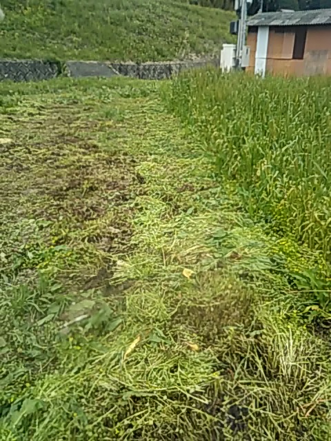 f:id:himitunokobeya:20200420093958j:plain