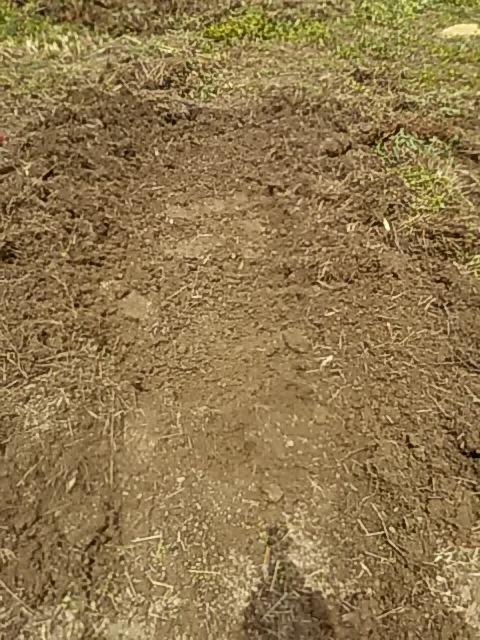 f:id:himitunokobeya:20200420094101j:plain