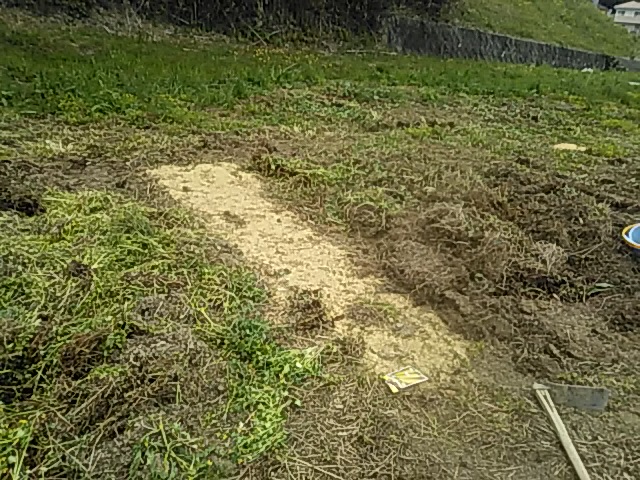 f:id:himitunokobeya:20200420094245j:plain