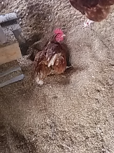 f:id:himitunokobeya:20200420094429j:plain