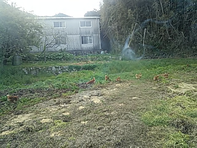 f:id:himitunokobeya:20200422090447j:plain