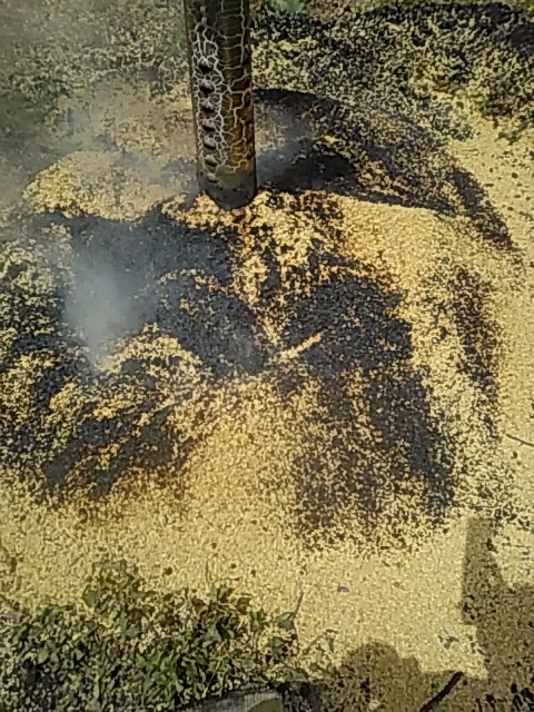 f:id:himitunokobeya:20200423085919j:plain f:id:himitunokobeya:20200423085919j:plain