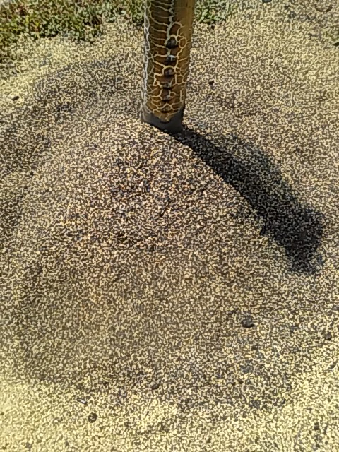 f:id:himitunokobeya:20200423090009j:plain f:id:himitunokobeya:20200423090009j:plain