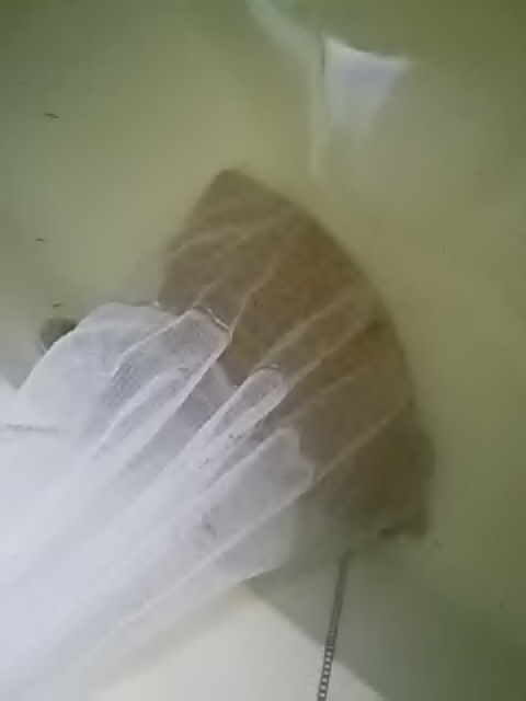 f:id:himitunokobeya:20200423090626j:plain f:id:himitunokobeya:20200423090626j:plain