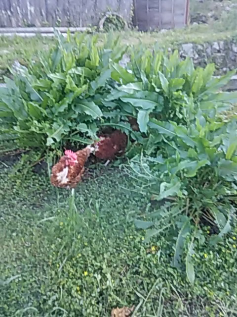 f:id:himitunokobeya:20200425083632j:plain