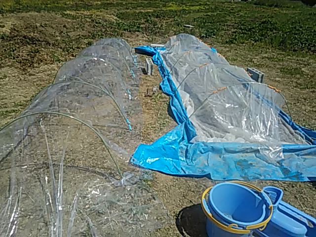 f:id:himitunokobeya:20200430090737j:plain