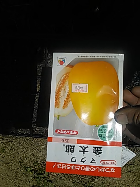 f:id:himitunokobeya:20200430090908j:plain