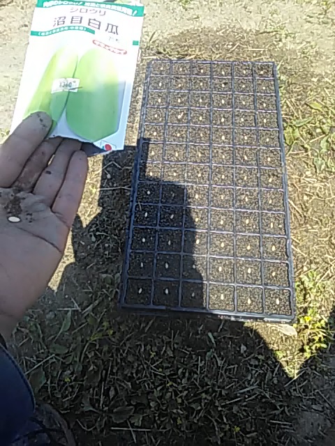 f:id:himitunokobeya:20200430091242j:plain