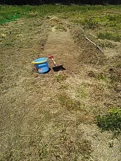 f:id:himitunokobeya:20200430091839j:plain