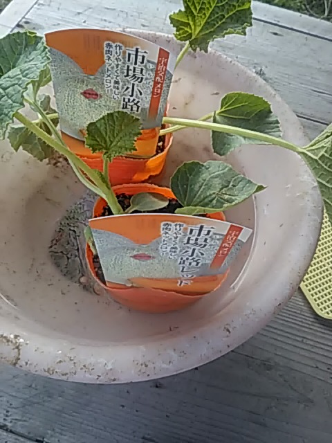 f:id:himitunokobeya:20200430093010j:plain