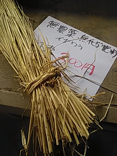 f:id:himitunokobeya:20200507092533j:plain