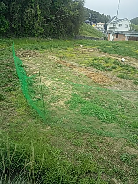 f:id:himitunokobeya:20200507093739j:plain