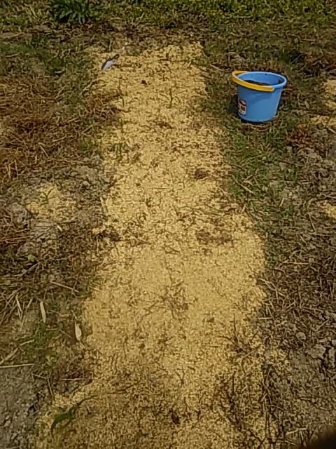 f:id:himitunokobeya:20200510092110j:plain