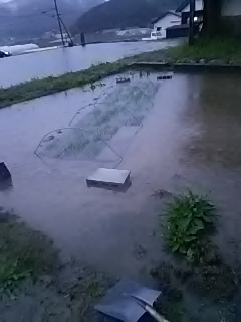 f:id:himitunokobeya:20200510092448j:plain