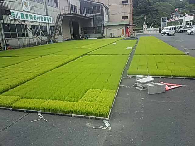 f:id:himitunokobeya:20200516092927j:plain