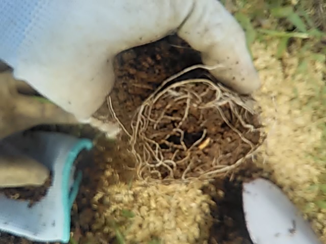 f:id:himitunokobeya:20200520095007j:plain