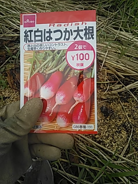 f:id:himitunokobeya:20200601095350j:plain