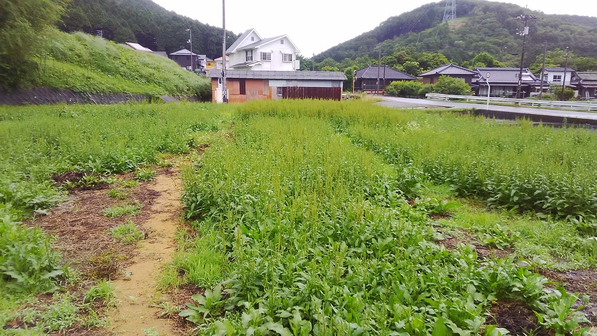 f:id:himitunokobeya:20200614071751j:plain