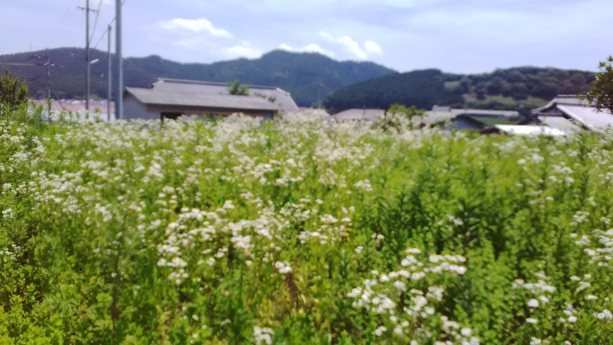f:id:himitunokobeya:20200625091043j:plain
