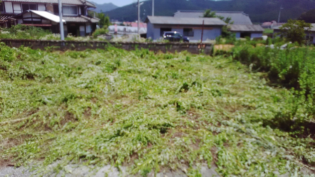 f:id:himitunokobeya:20200625091531j:plain
