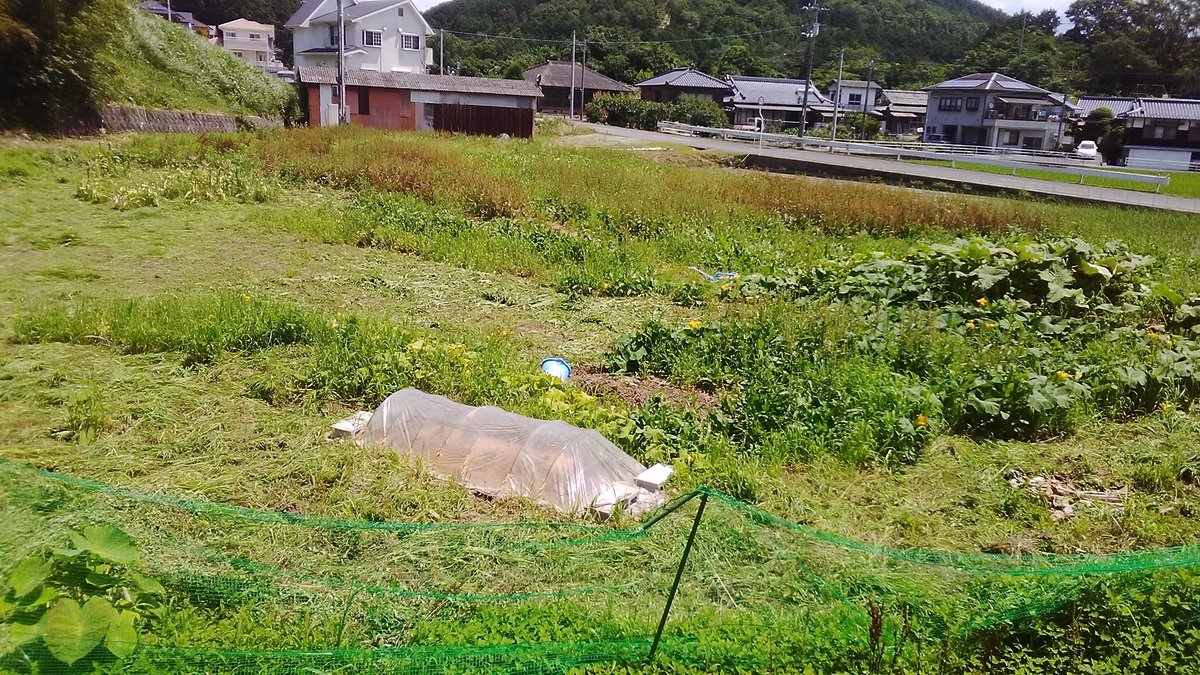f:id:himitunokobeya:20200719165523j:plain