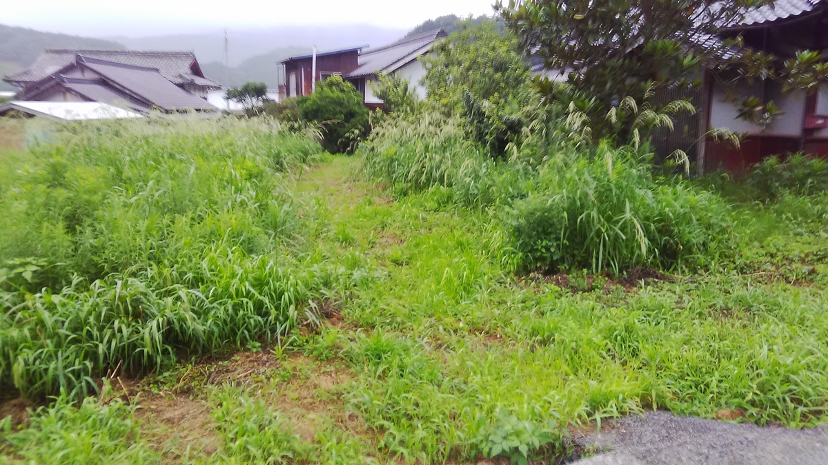 f:id:himitunokobeya:20200729135045j:plain