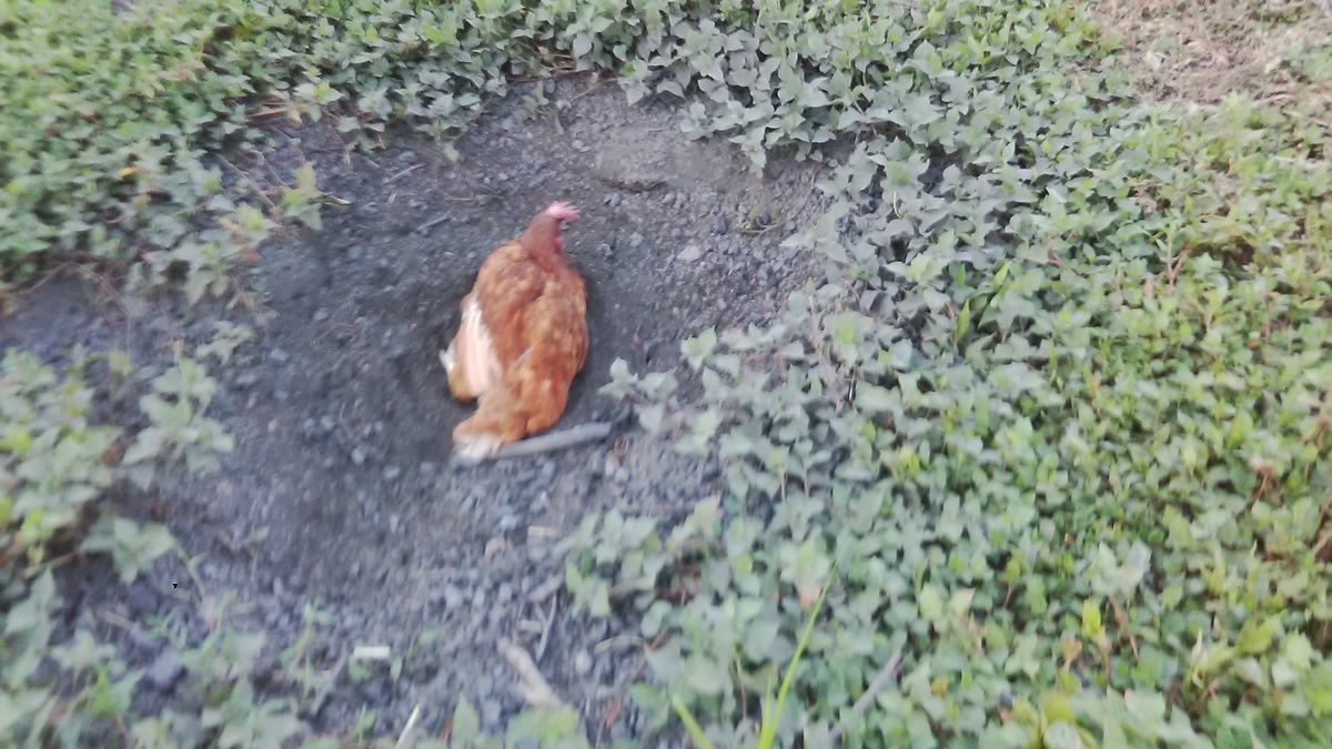 f:id:himitunokobeya:20200819133130j:plain