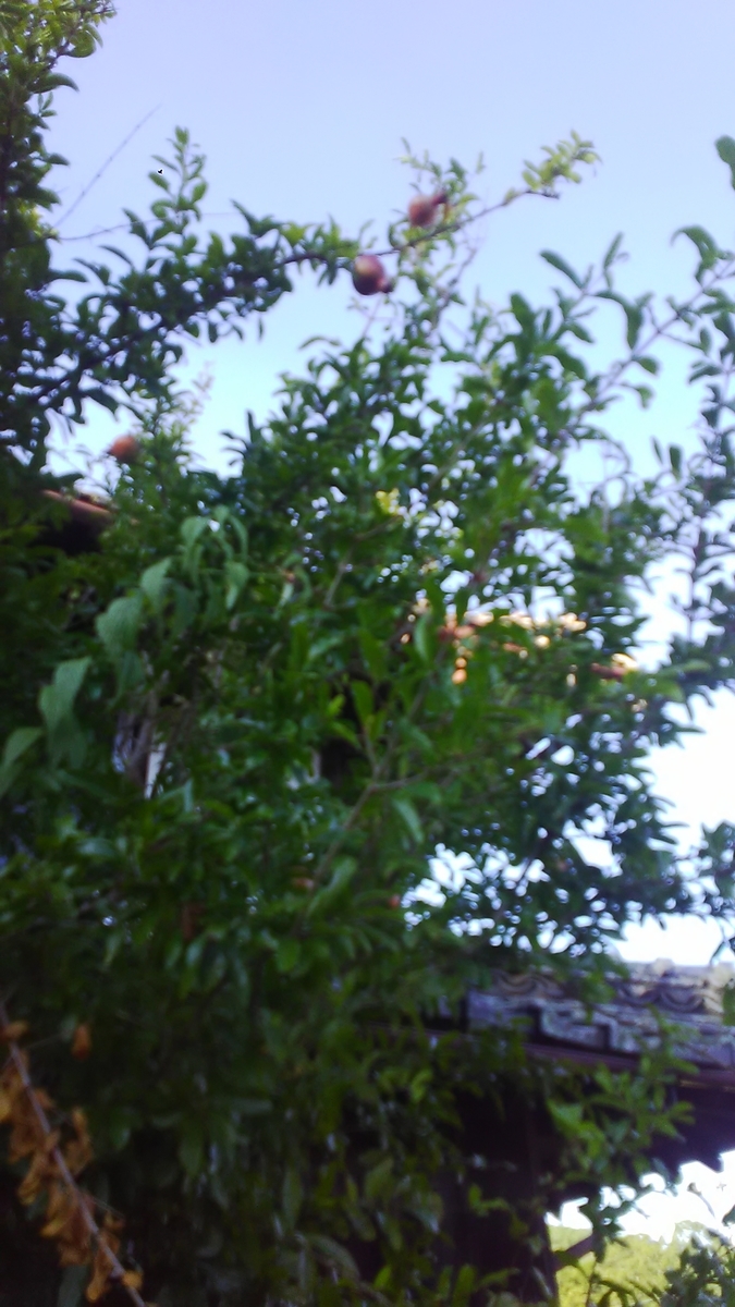 f:id:himitunokobeya:20200829123508j:plain