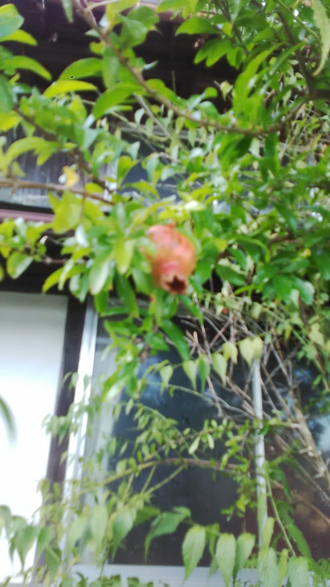 f:id:himitunokobeya:20200829123546j:plain