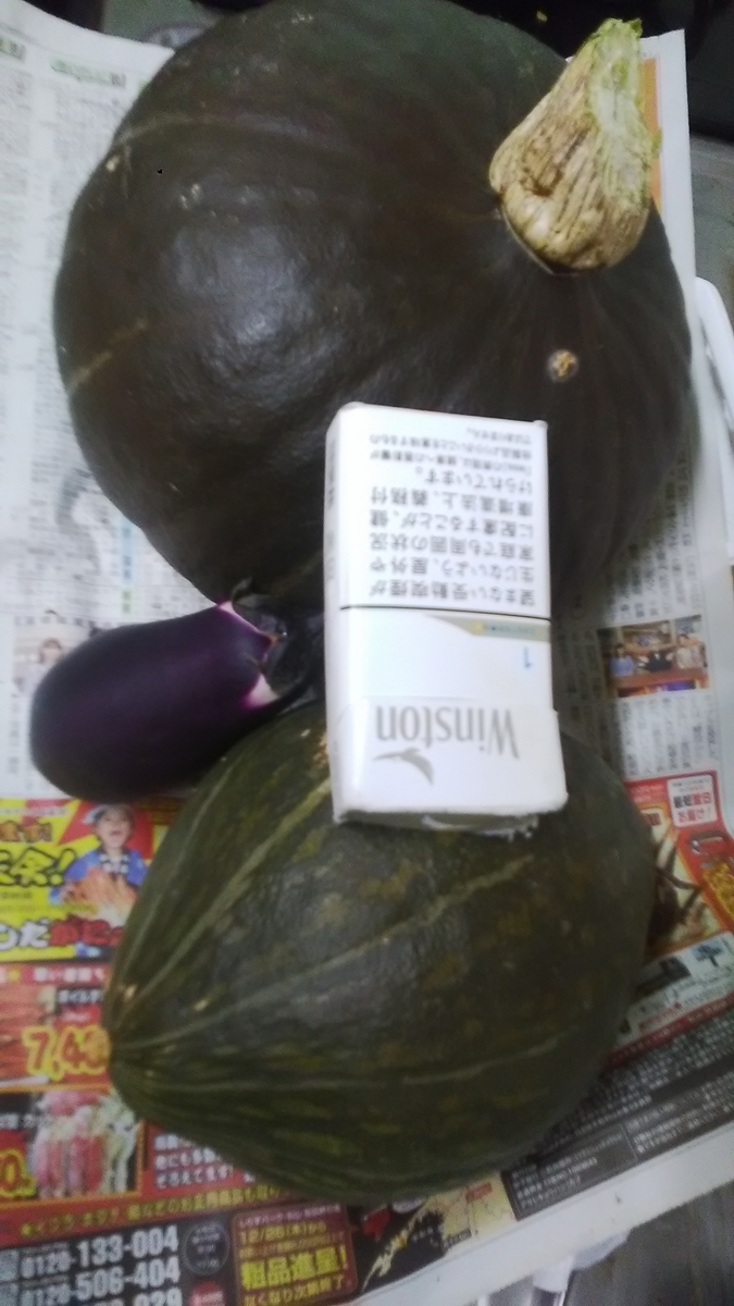 f:id:himitunokobeya:20200910142218j:plain