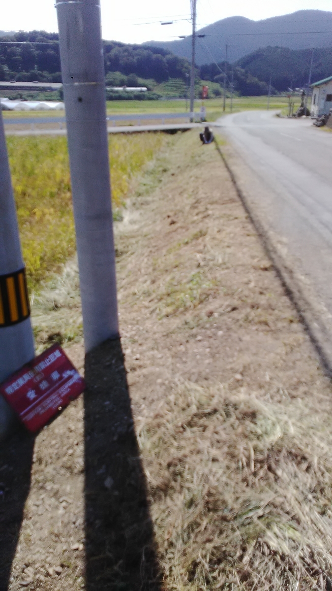 f:id:himitunokobeya:20201008082241j:plain