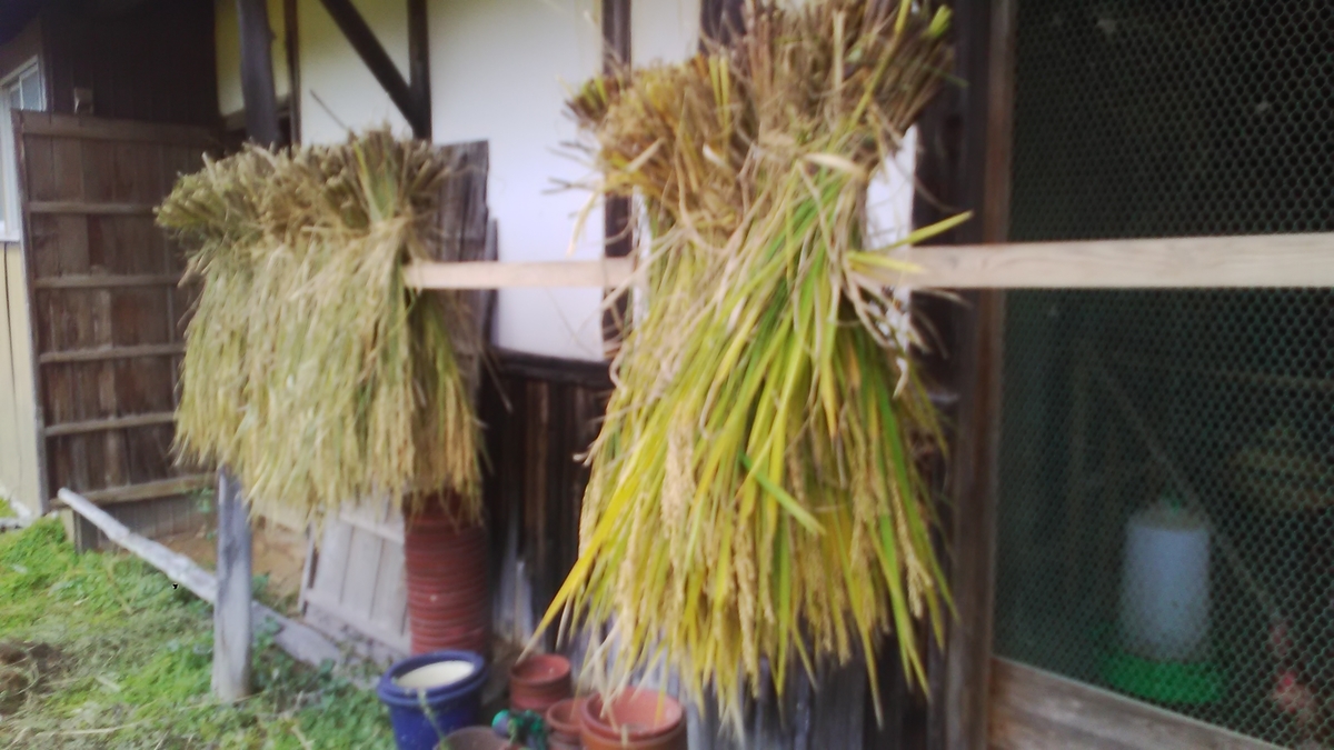 f:id:himitunokobeya:20201017074006j:plain