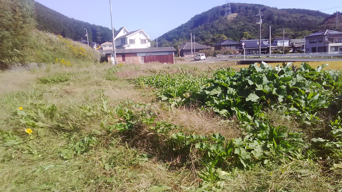 f:id:himitunokobeya:20201022081436j:plain