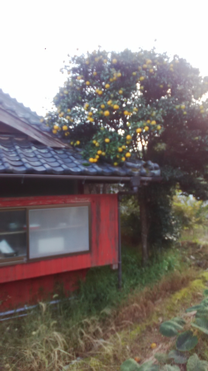 f:id:himitunokobeya:20201024074755j:plain f:id:himitunokobeya:20201024074755j:plain