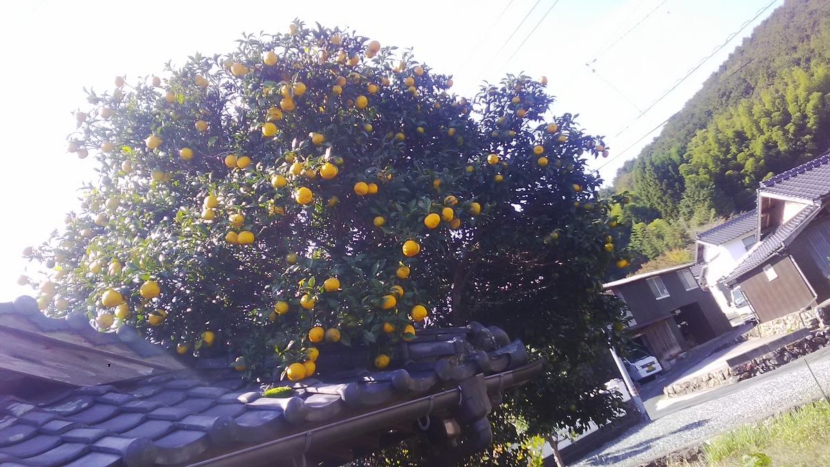 f:id:himitunokobeya:20201028091519j:plain