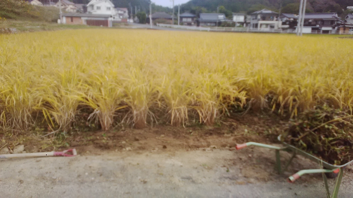 f:id:himitunokobeya:20201029083343j:plain