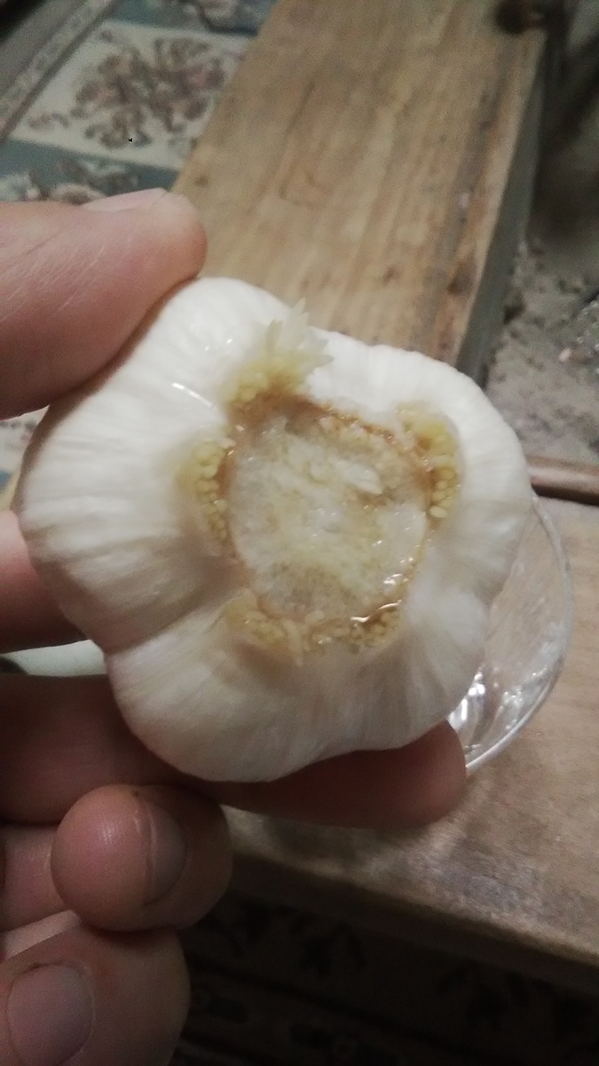 f:id:himitunokobeya:20201111153012j:plain f:id:himitunokobeya:20201111153012j:plain