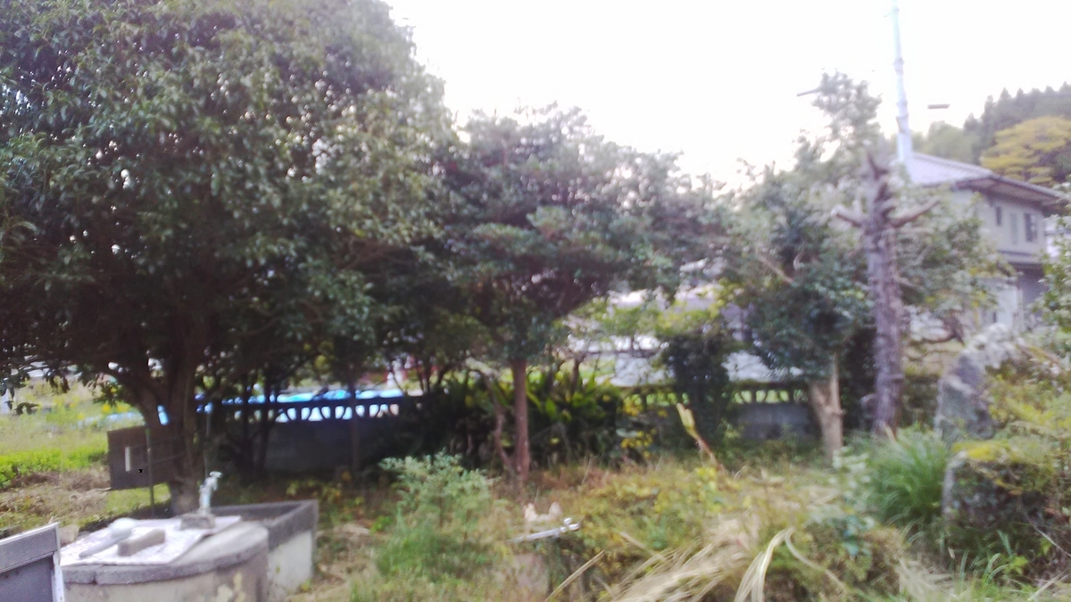 f:id:himitunokobeya:20201111153801j:plain f:id:himitunokobeya:20201111153801j:plain