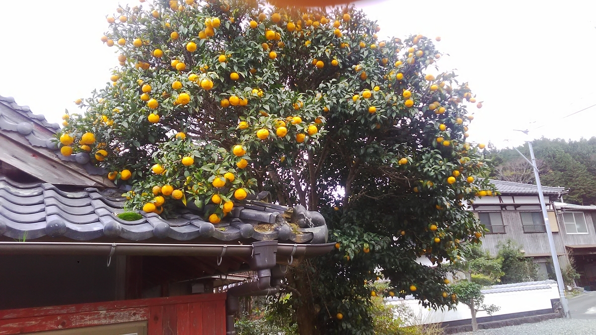 f:id:himitunokobeya:20201129092656j:plain