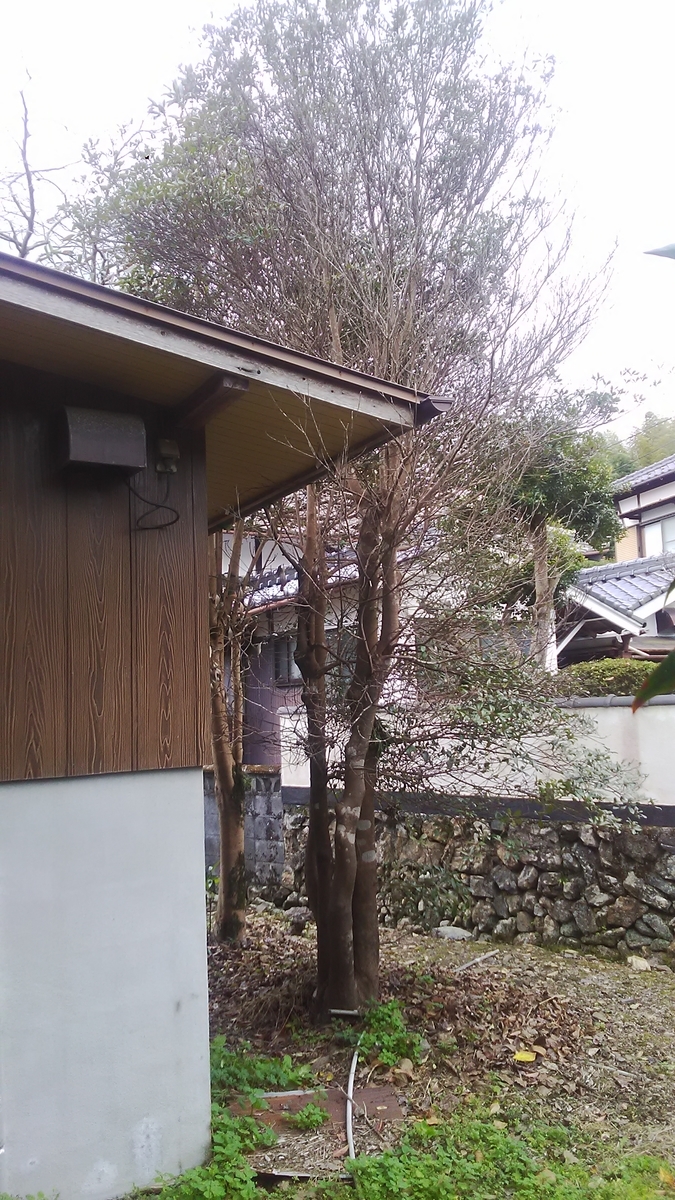 f:id:himitunokobeya:20201129092820j:plain