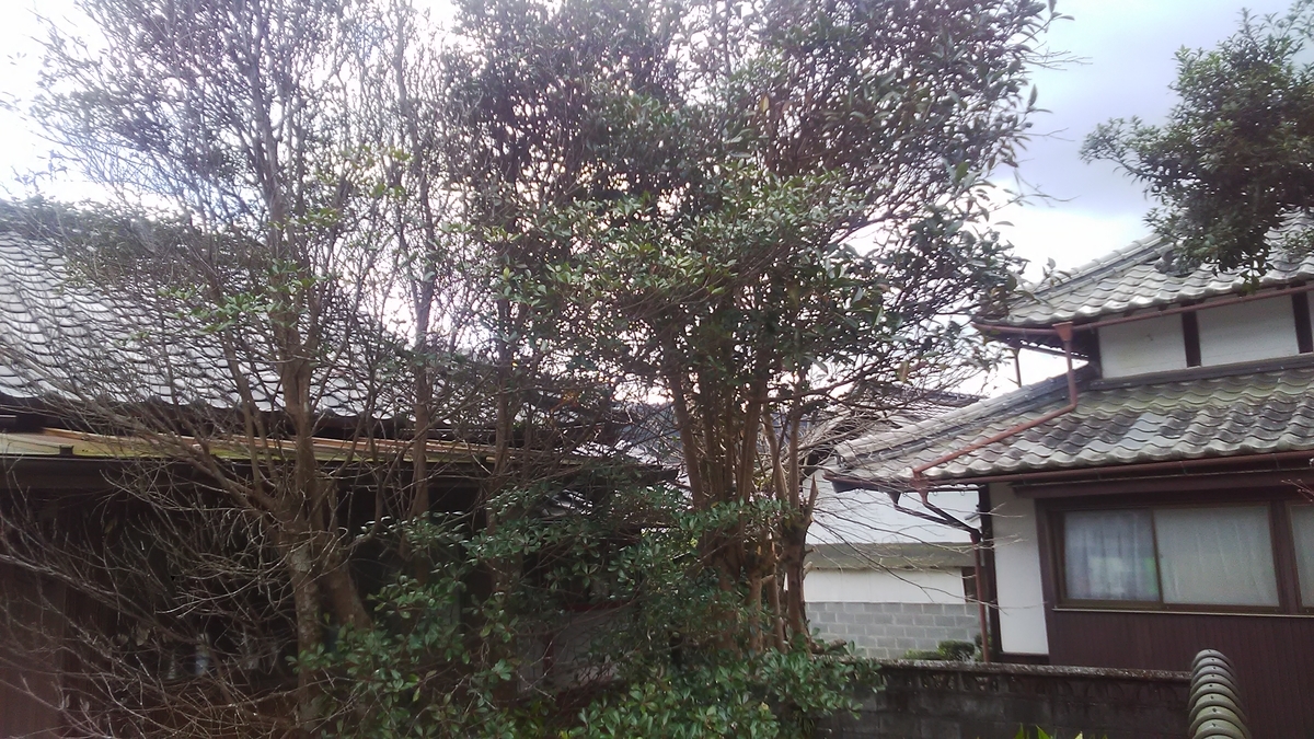 f:id:himitunokobeya:20201129093101j:plain