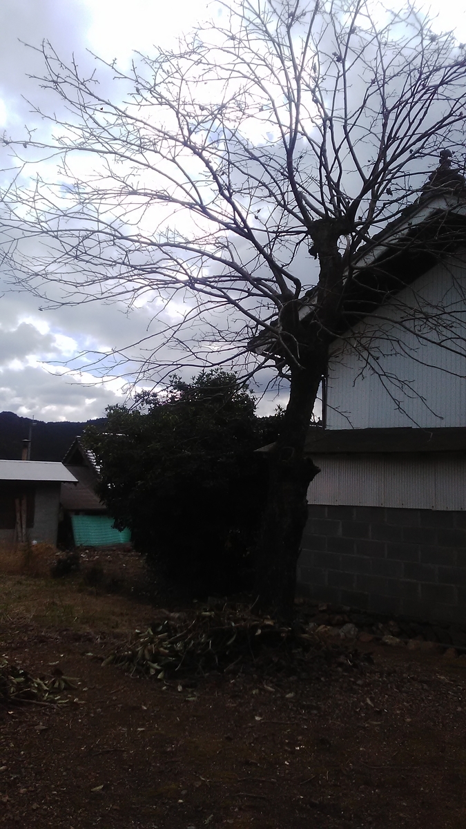 f:id:himitunokobeya:20201129093210j:plain